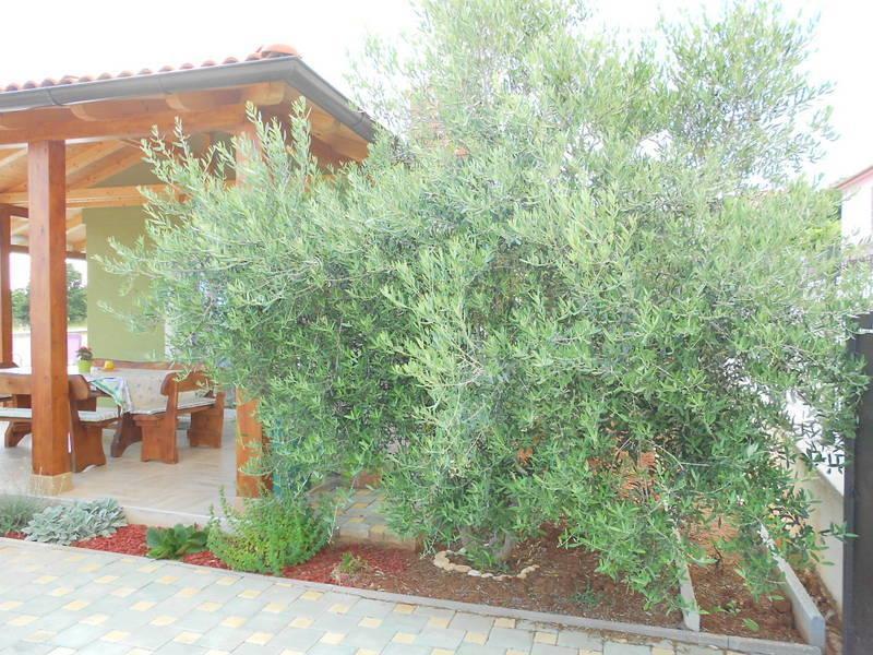 Holiday home Holiday Tanja